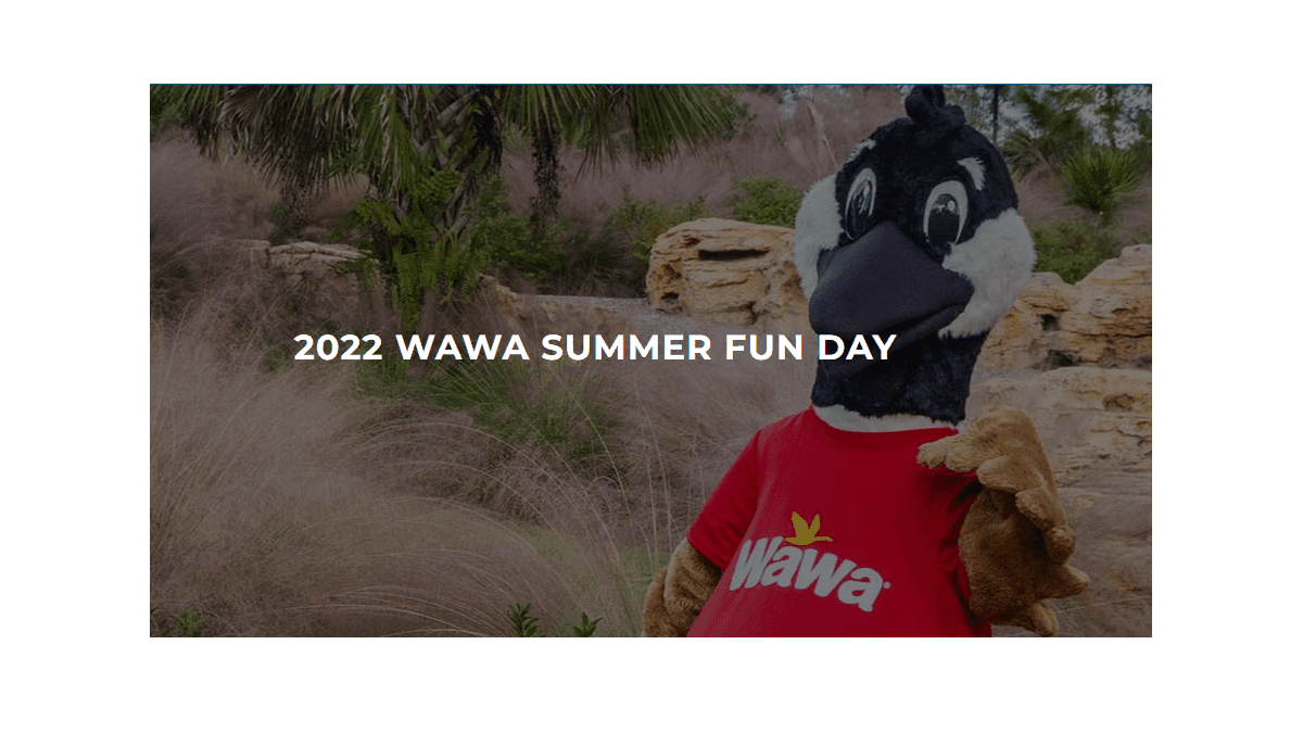2020 wawa summer fun days